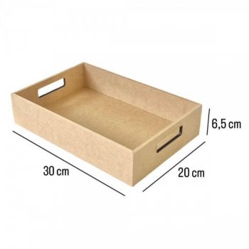 BANDEJA RETANGULAR P 30X20X6,5 COM PEGADOR REF.1953